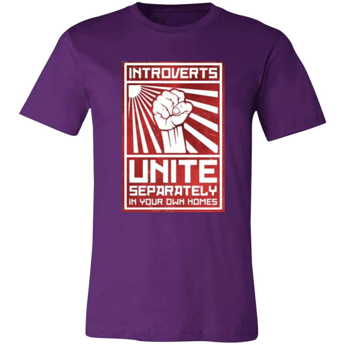Introverts Unite Jersey Short-Sleeve T-Shirt - T-Shirts Team Purple / S Real Domain Streetwear Real Domain Streetwear